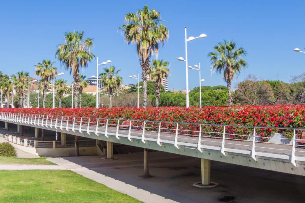 Vuelven las flores al puente más bonito de Valencia - Valencia Secreta