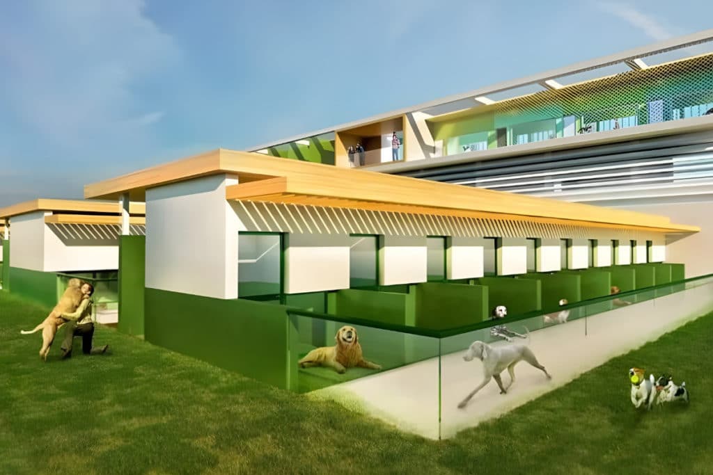 Valencia tendrá un segundo refugio municipal de animales con 200 plazas