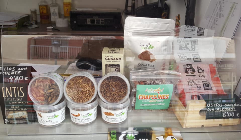 Así es la primera tienda de Valencia que vende insectos comestibles