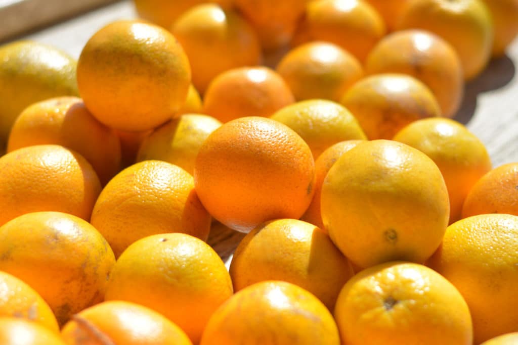 Este domingo, mercado extraordinario de naranjas y limones en Valencia
