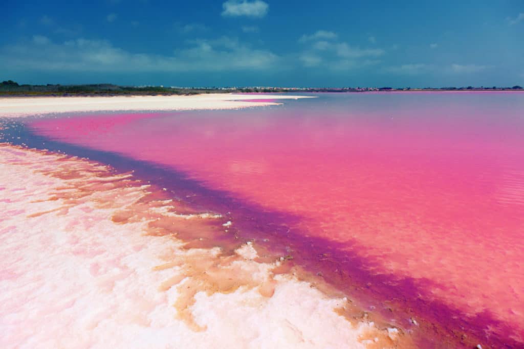Así es la espectacular laguna rosa de la Comunidad Valenciana