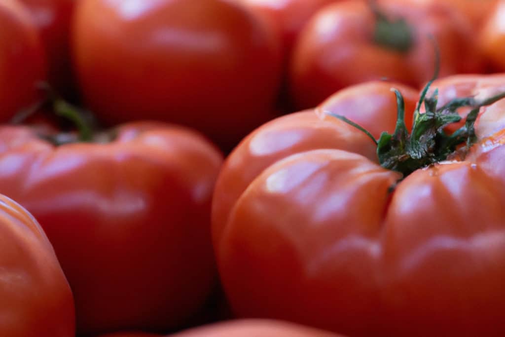 Mercado de tomates valencianos este sábado en Valencia